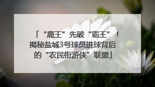 “鹿王”先破“霸王”！揭秘盐城3号球员进球背后的“农民街游侠”联盟