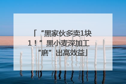 “黑家伙多卖1块1！”黑小麦深加工“磨”出高效益