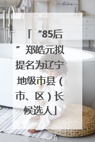 “85后”郑皓元拟提名为辽宁地级市县（市、区）长候选人