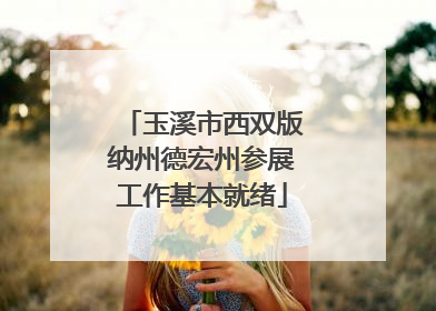 玉溪市西双版纳州德宏州参展工作基本就绪