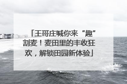 王哥庄喊你来“趣”割麦！麦田里的丰收狂欢，解锁田园新体验