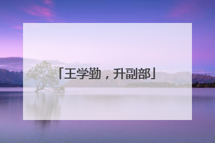 王学勤，升副部