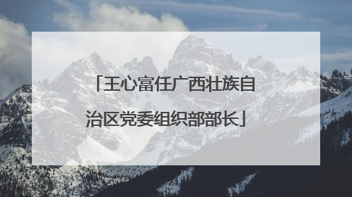 王心富任广西壮族自治区党委组织部部长