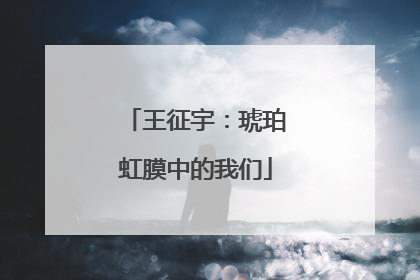 王征宇：琥珀虹膜中的我们