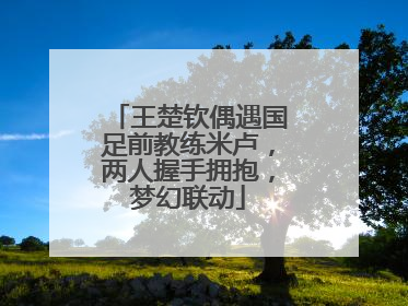 王楚钦偶遇国足前教练米卢，两人握手拥抱，梦幻联动