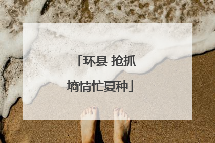 环县 抢抓墒情忙夏种