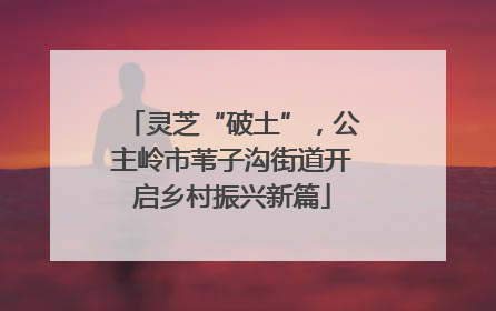 灵芝“破土”，公主岭市苇子沟街道开启乡村振兴新篇