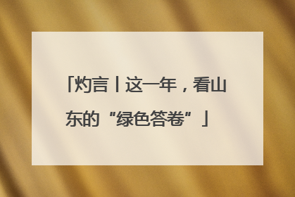 灼言丨这一年，看山东的“绿色答卷”
