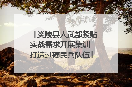 炎陵县人武部紧贴实战需求开展集训 打造过硬民兵队伍