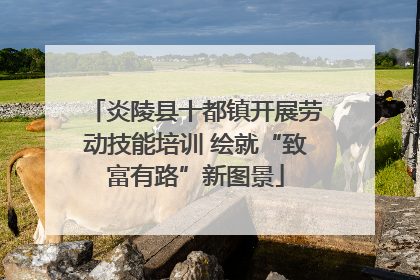 炎陵县十都镇开展劳动技能培训 绘就“致富有路”新图景