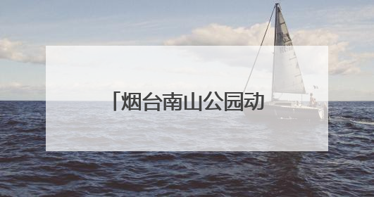 烟台南山公园动物园喜迎上海长颈鹿“新娘”