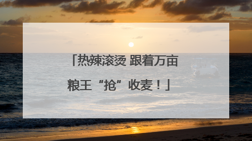 热辣滚烫 跟着万亩粮王“抢”收麦！
