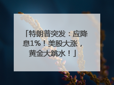 特朗普突发：应降息1%！美股大涨，黄金大跳水！