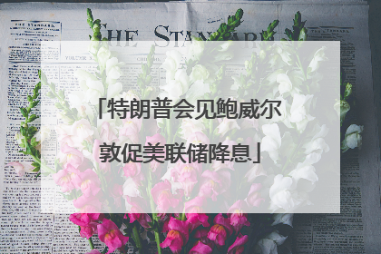 特朗普会见鲍威尔 敦促美联储降息