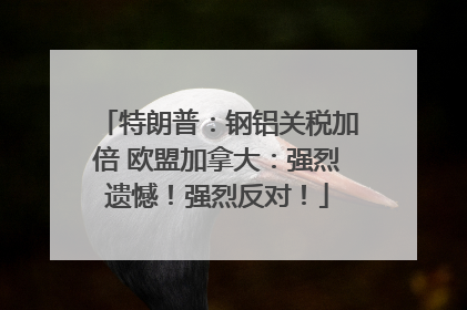 特朗普：钢铝关税加倍 欧盟加拿大：强烈遗憾！强烈反对！