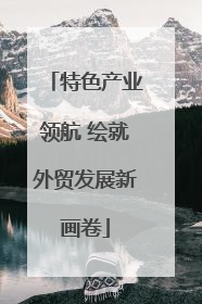 特色产业领航 绘就外贸发展新画卷