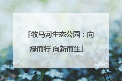 牧马河生态公园：向绿而行 向新而生