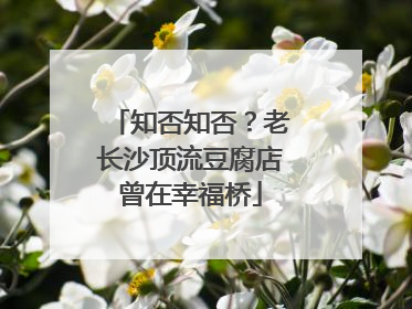 知否知否？老长沙顶流豆腐店曾在幸福桥