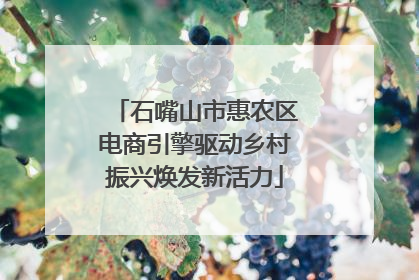 石嘴山市惠农区电商引擎驱动乡村振兴焕发新活力