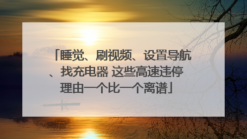 睡觉、刷视频、设置导航、找充电器 这些高速违停理由一个比一个离谱