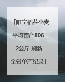 睢宁稻茬小麦平均亩产806.2公斤 刷新全省单产纪录