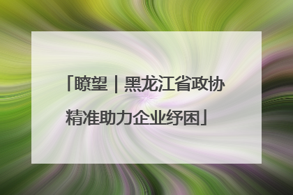 瞭望｜黑龙江省政协精准助力企业纾困