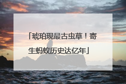 琥珀现最古虫草！寄生蚂蚁历史达亿年