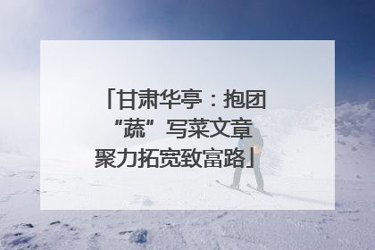 甘肃华亭：抱团“蔬”写菜文章 聚力拓宽致富路