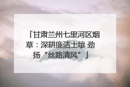 甘肃兰州七里河区烟草：深耕廉洁土壤 劲扬“丝路清风”
