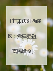 甘肃庆阳西峰区：党建强链 富民增收