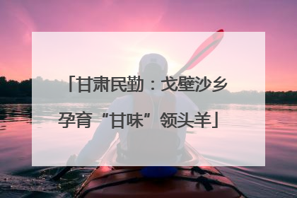 甘肃民勤：戈壁沙乡孕育“甘味”领头羊