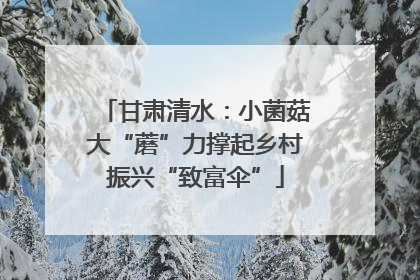 甘肃清水：小菌菇大“蘑”力撑起乡村振兴“致富伞”