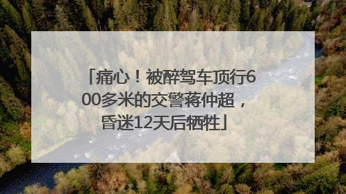痛心！被醉驾车顶行600多米的交警蒋仲超，昏迷12天后牺牲