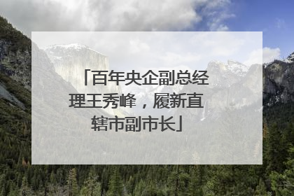 百年央企副总经理王秀峰，履新直辖市副市长