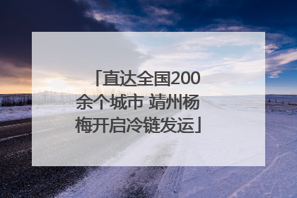 直达全国200余个城市 靖州杨梅开启冷链发运