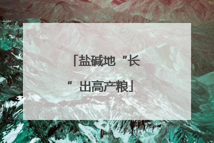 盐碱地“长”出高产粮