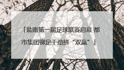 盐南第一届足球联赛启幕 都市集团铆足干劲拼“双赢”