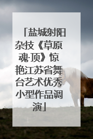 盐城射阳杂技《草原魂·顶》惊艳江苏省舞台艺术优秀小型作品调演