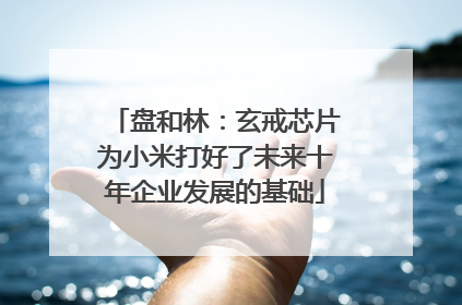 盘和林：玄戒芯片为小米打好了未来十年企业发展的基础