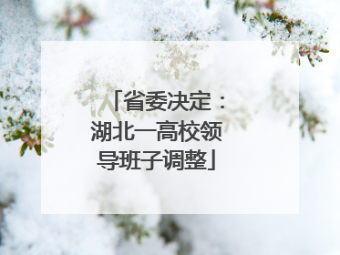 省委决定：湖北一高校领导班子调整