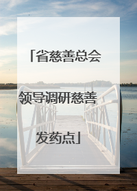省慈善总会领导调研慈善发药点