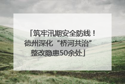 筑牢汛期安全防线！德州深化“桥河共治”整改隐患50余处