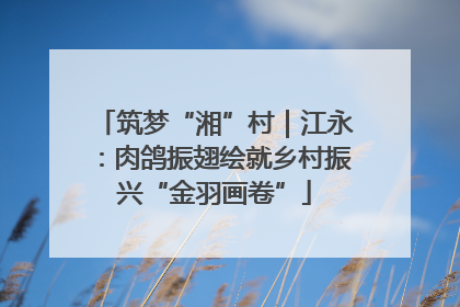 筑梦“湘”村｜江永：肉鸽振翅绘就乡村振兴“金羽画卷”