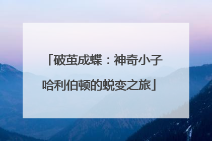 破茧成蝶：神奇小子哈利伯顿的蜕变之旅