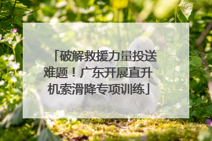 破解救援力量投送难题！广东开展直升机索滑降专项训练