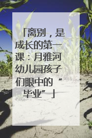 离别，是成长的第一课：月雅河幼儿园孩子们眼中的“毕业”
