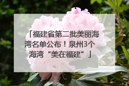 福建省第二批美丽海湾名单公布！泉州3个海湾“美在福建”