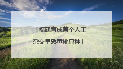 福建育成首个人工杂交早熟黄桃品种