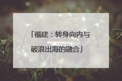 福建：转身向内与破浪出海的融合