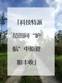 科技特派员田间“护航”中原夏粮丰收